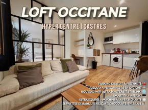 Loft Occitane Hyper Centre Castres